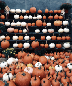 White and Orange pumpkins in stairs and a flat concrete surface