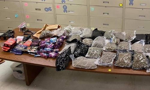 Piedmont Police Drug Bust