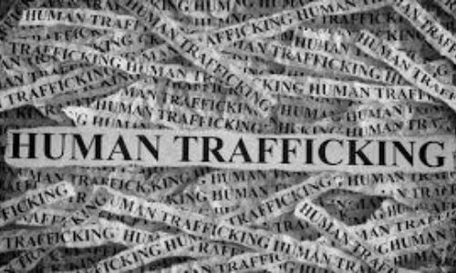 Human Trafficking Cover