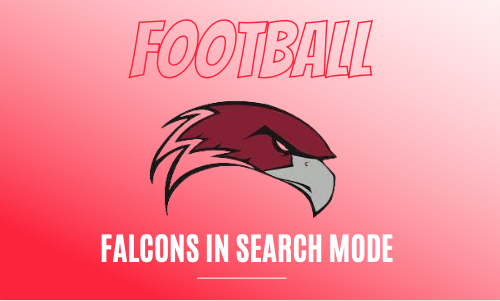 FAlcons in search mode