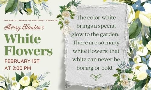 white flowers cover photo