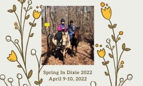 Spring in Dixie