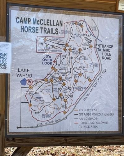 Camp McClellan Horse