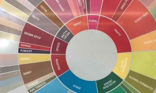 Smell and Tasting Wheel