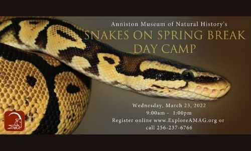 Snakes on Spring Break Day Camp
