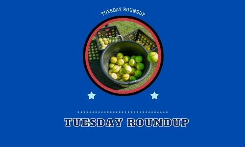 Tuesday roundup