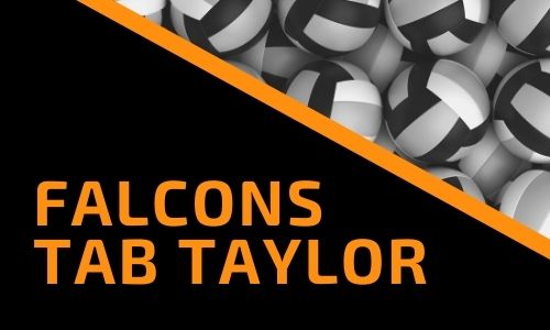 Falcons tab Taylor
