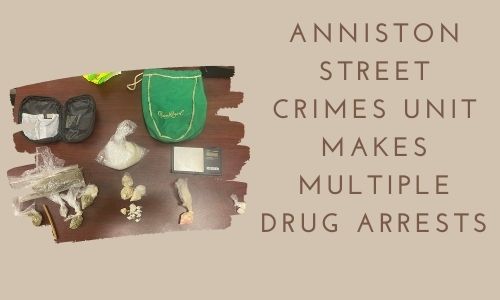 Anniston Drug Stop