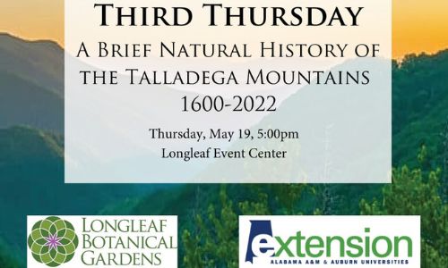 Third Thursday A brief natural history of the talladega