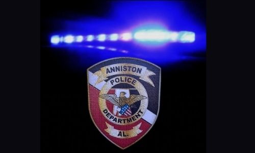 Anniston Police Department Stats