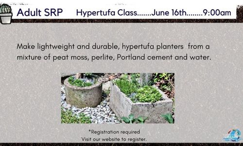 Hypertufa Class