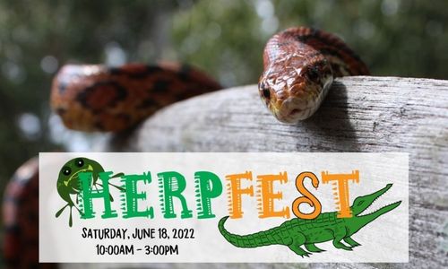 HerpFest Celebration of Reptiles & Amphibians