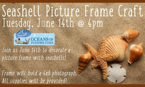 Seashell Picture Frame Craft (adults)