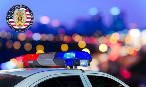 Piedmont Police Stats