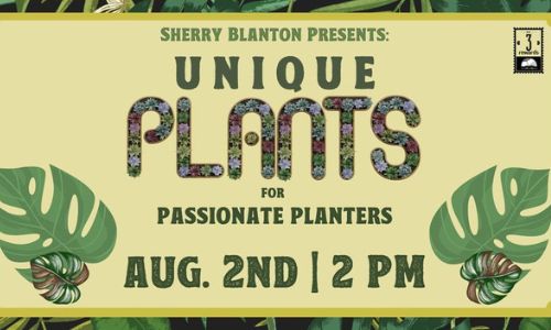 Sherry Blanton Presents Unique Plants for Passionate Planters