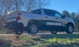 Animal Control Hires New Director