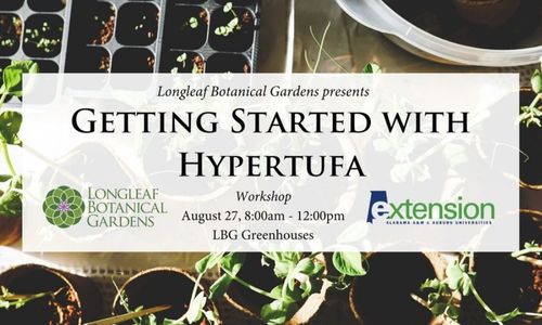 Getting Started with Hypertufa Workshop