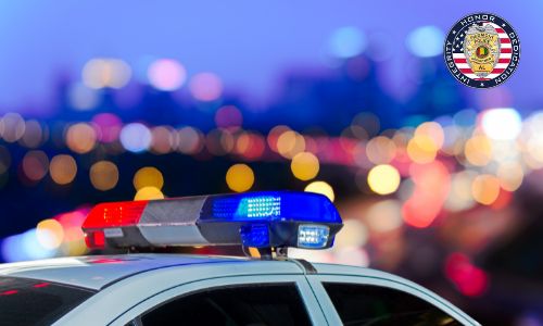 Piedmont Police Stats