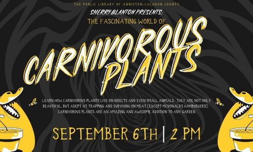 Sherry Blanton Presents The Fascinating World of Carnivorous Plants