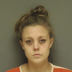 Brittany Price arrest photo