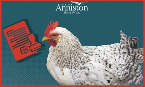Chickens Can Come to Roost in Anniston