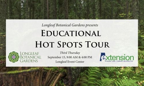 Educational Hot Spots Tour