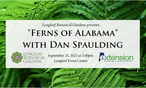 Ferns of Alabama with Dan Spaulding
