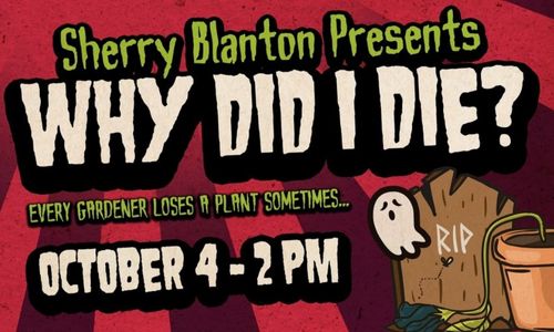 Sherry Blanton Presents Why Did I Die