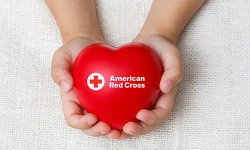 The American Red Cross Blood Drive