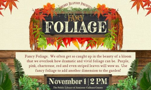 Sherry Blanton Presents Fancy Foliage