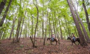Governor Ivey Awards $1.64 Million to Enhance Outdoor Recreation in Alabama