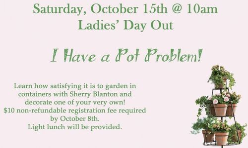 Ladies' Day Out I Have a Pot Problem!