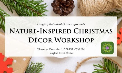 Nature-Inspired Christmas Décor Workshop