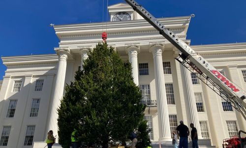 Official State Christmas Tree to Arrive