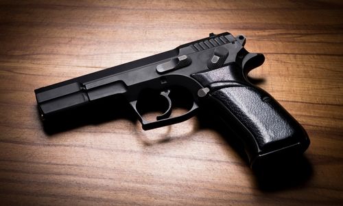 ALEA Announces Firearms Prohibited Person Database Press Release
