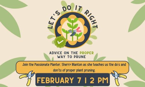 Sherry Blanton Presents Let's Do It Right - Advice on the Proper Way to Prune