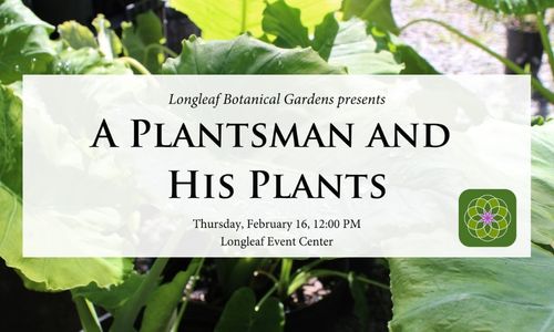 A Plantsman and His Plants