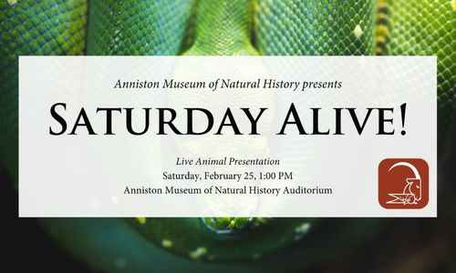 Saturday Alive! Anniston Museums and Gardens