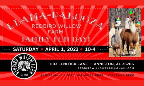 RedBird Willow Farm 2nd Annual LLAMA-PALOOZA