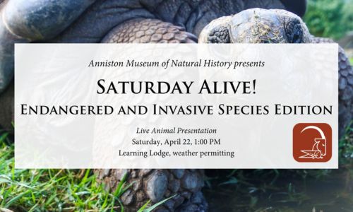 Saturday Alive! Endangered and Invasive Species Edition