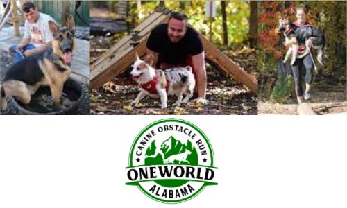 OneWorld Canine Obstacle Run