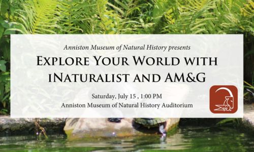 Explore Your World with iNaturalist at the Anniston Museums and Gardens