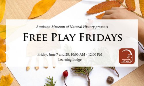 Free Play Fridays Anniston Museums and Gardens