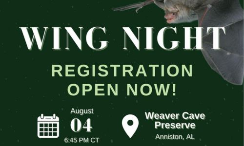 Registration for annual Weaver Cave Preserve Wing Night Open