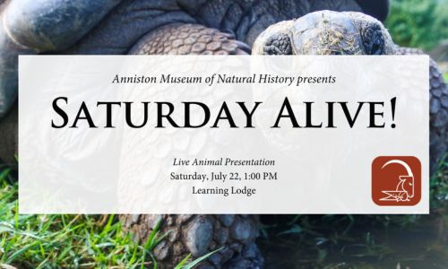 Saturday Alive! Anniston Museums and Gardens
