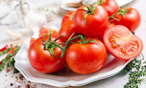 Tomato Tasting in Anniston
