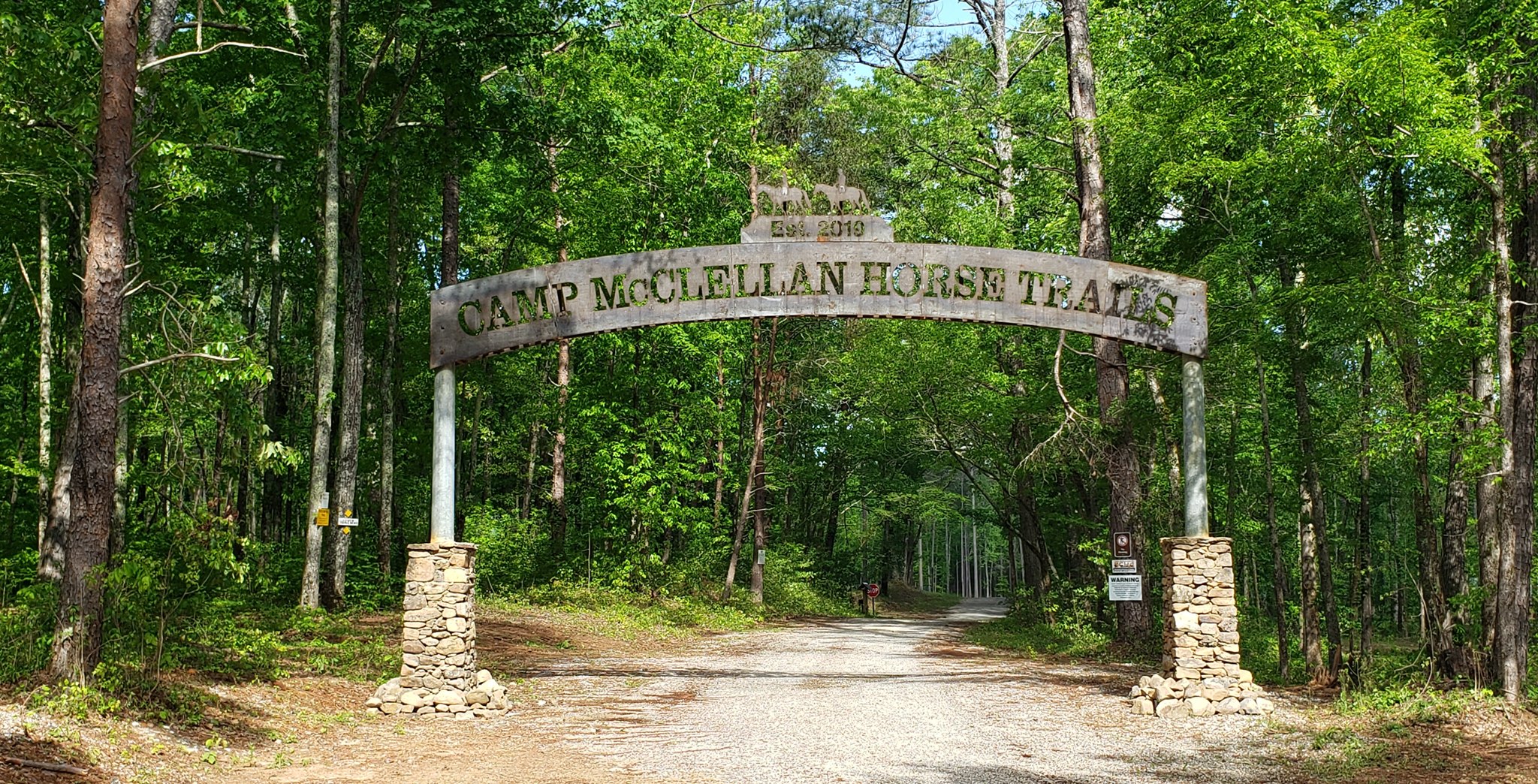 Cow Sorting at Camp McClellan Horse Trails - Calhoun Journal