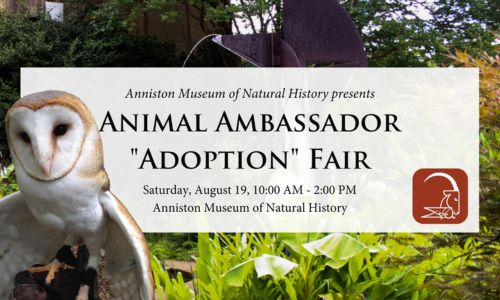 Animal Ambassador “Adoption” Fair