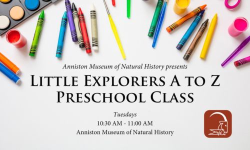 Little Explorers A to Z Preschool Class