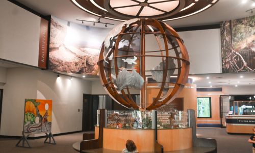 Local Area Spotlight Anniston Museum of Natural History